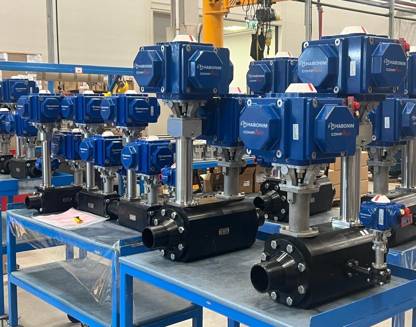 IMG-20250611-WA0011-1